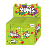 Candyland Yums Sour Flavoured  Chewy Candies Pack (38g X 24)